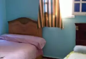 Apartments For rent - 2 rooms - floor 2