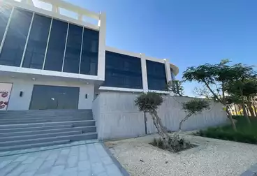 مكاتب للإيجار - 2 غرف - بالدور 3