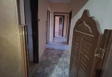 عقارات للإيجار - 3 غرف - بالدور 3