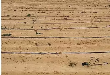 Farm For sale