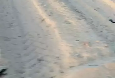 أرض زراعية للبيع
