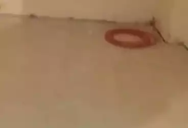 Shops For rent - floor 0