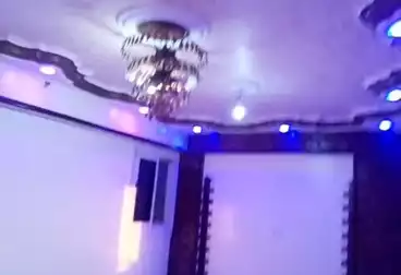 Apartments For rent - 2 rooms - floor 1