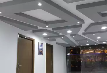 Properties For rent - 8 rooms - floor 0