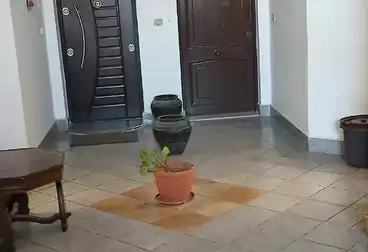 undefined undefined - 3 rooms - floor 1