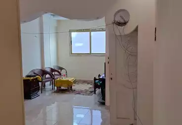 منزل / بيت للبيع - 3 غرف