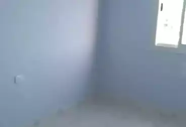 Apartments For rent - 3 rooms - floor 3