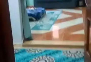 Apartments For sale - 3 rooms - floor 6