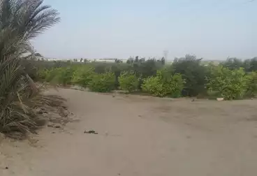 Farm For sale