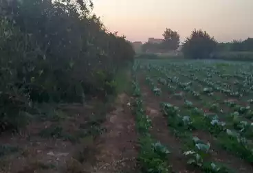 Farm For sale