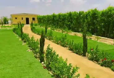 Farm For sale