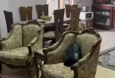 Furnished Apartment For rent - 2 rooms - floor 0