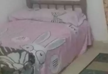 Shared Room For rent - floor 1