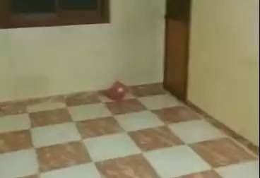 Apartments For rent - 3 rooms - floor 2