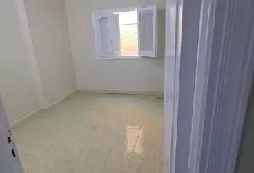 Apartments For rent - 2 rooms - floor 1
