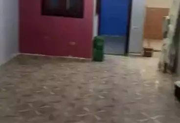 شقق للإيجار - 2 غرف - بالدور 2