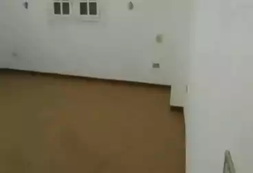 Apartments For rent - 3 rooms - floor 1
