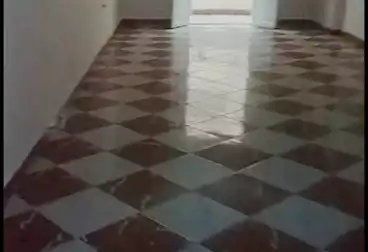 Apartments For rent - 3 rooms - floor 3