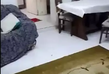 Apartments For sale - 3 rooms - floor 1
