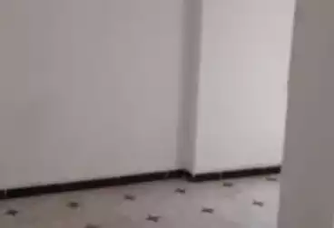 undefined undefined - 2 rooms - floor 1