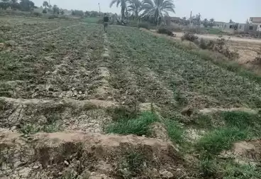أرض زراعية للبيع