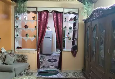 شقق للبيع - 3 غرف - بالدور 2