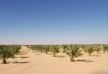 Farm For sale