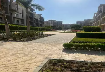 شقق للبيع - 3 غرف - بالدور 2