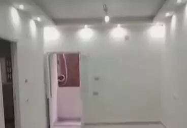 undefined undefined - 2 rooms - floor 7
