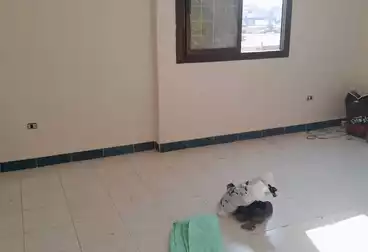 Apartments For rent - 2 rooms - floor 2