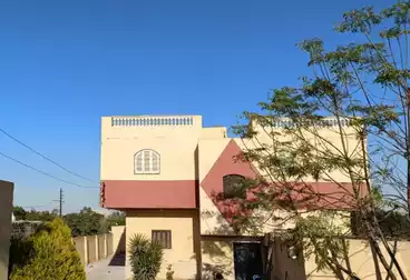 Building For sale - 3 rooms