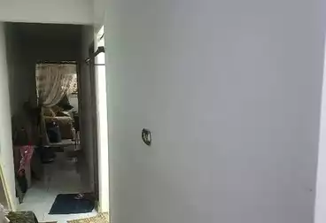 Apartments For rent - 3 rooms - floor 1