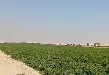 أرض زراعية للبيع