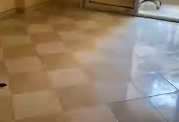 Apartments For sale - 3 rooms - floor 3