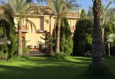 Palace For sale - 10 rooms