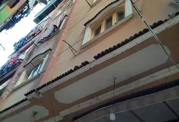 منزل / بيت للبيع - 3 غرف