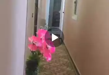 Apartments For sale - 3 rooms - floor 1