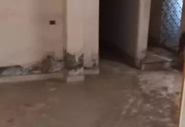 Building For sale - 2 rooms