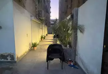 مقر إداري للإيجار - 3 غرف - بالدور 0