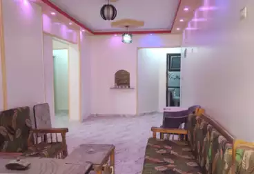شقق للبيع - 3 غرف - بالدور 1
