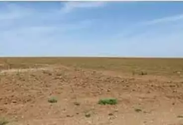 أرض مباني سكنية للبيع