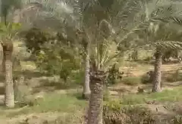 أراضي للبيع