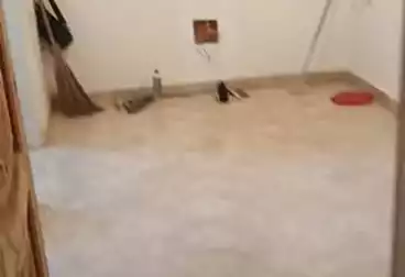 Properties For sale - 3 rooms - floor 1