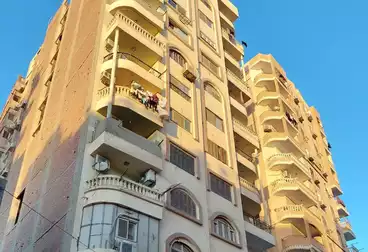 شقق للبيع - 3 غرف - بالدور 11