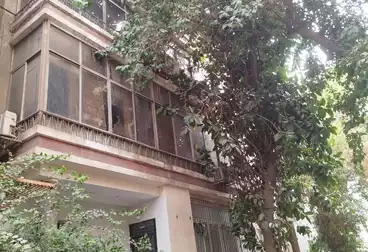 فيلا منفصلة للبيع - 24 غرف