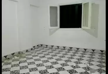 Apartments For rent - 3 rooms - floor 2