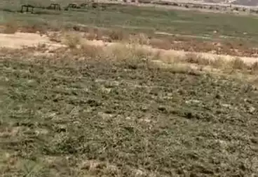 Farm For sale