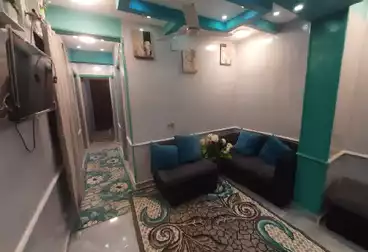 عقارات للإيجار - 3 غرف - بالدور 2