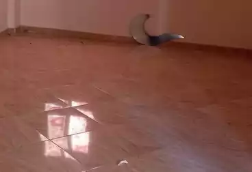 Apartments For rent - 2 rooms - floor 1
