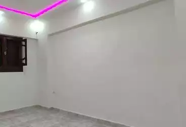undefined undefined - 3 rooms - floor 1